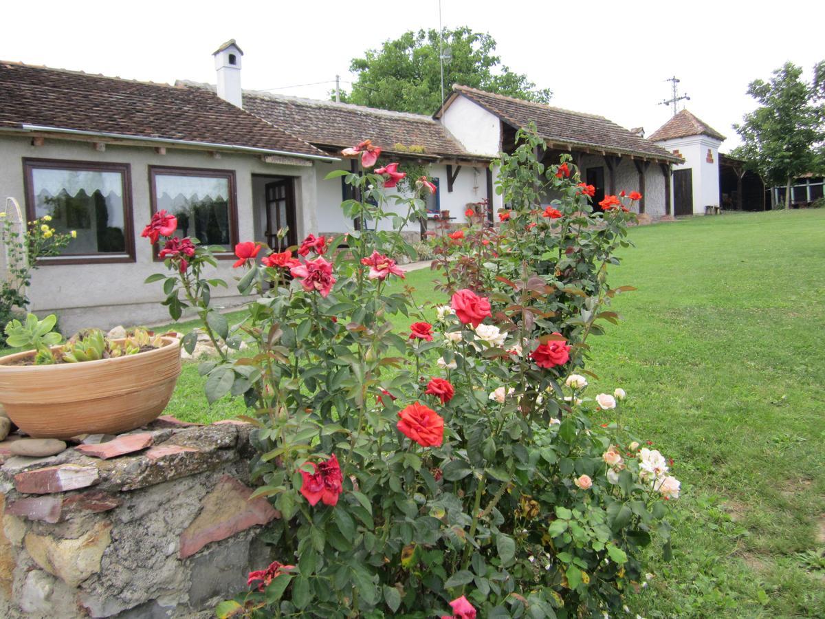 Guest House Vila Albedo Varna Exterior photo
